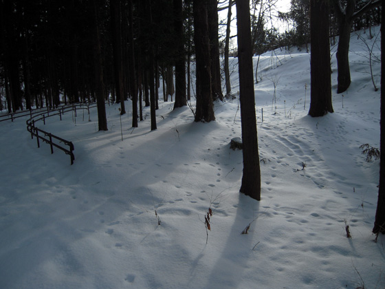 DSCN1393.JPG