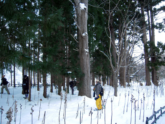 DSCN1401.jpg