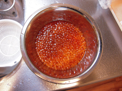 ikura3.jpg