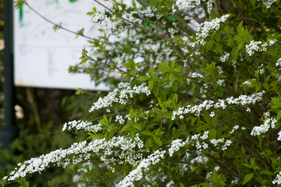 maruyama_100524_00.jpg