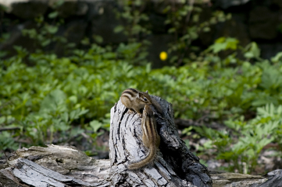 maruyama_100524_02.jpg