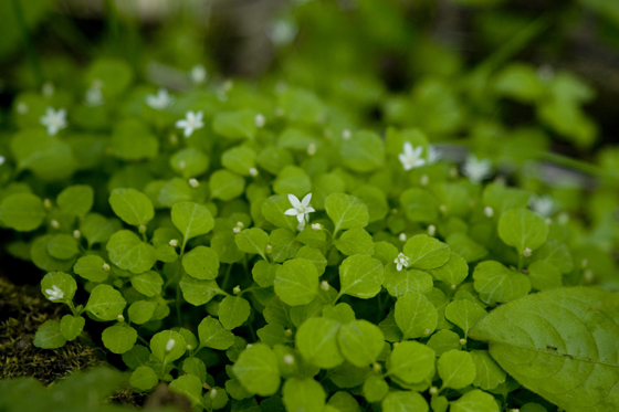 maruyama_100524_03.jpg